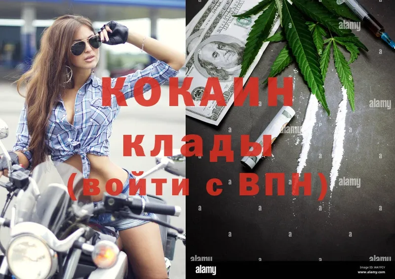 COCAIN Fish Scale  Лысьва 